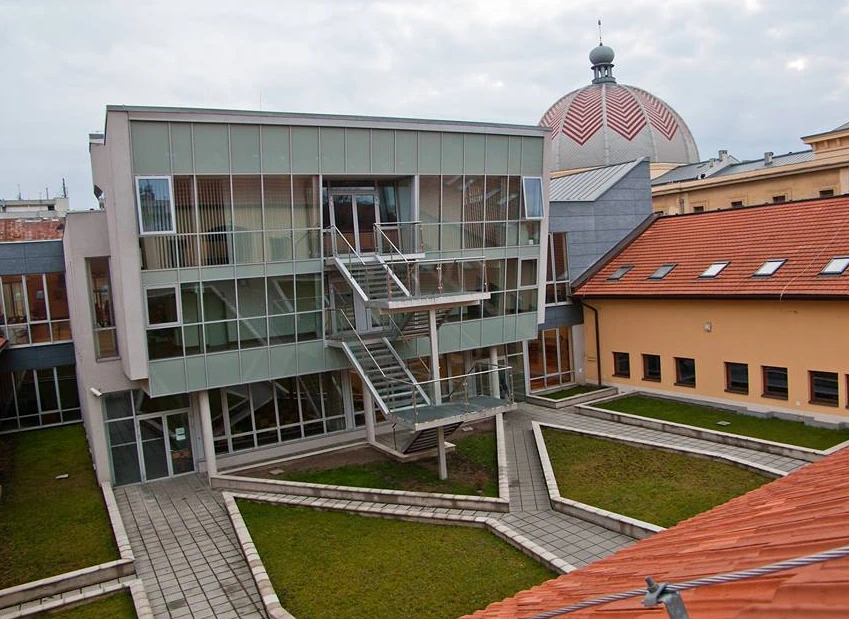 Portfolio Image