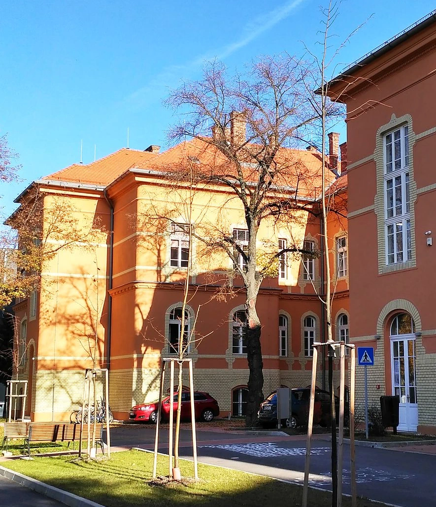 Portfolio Image